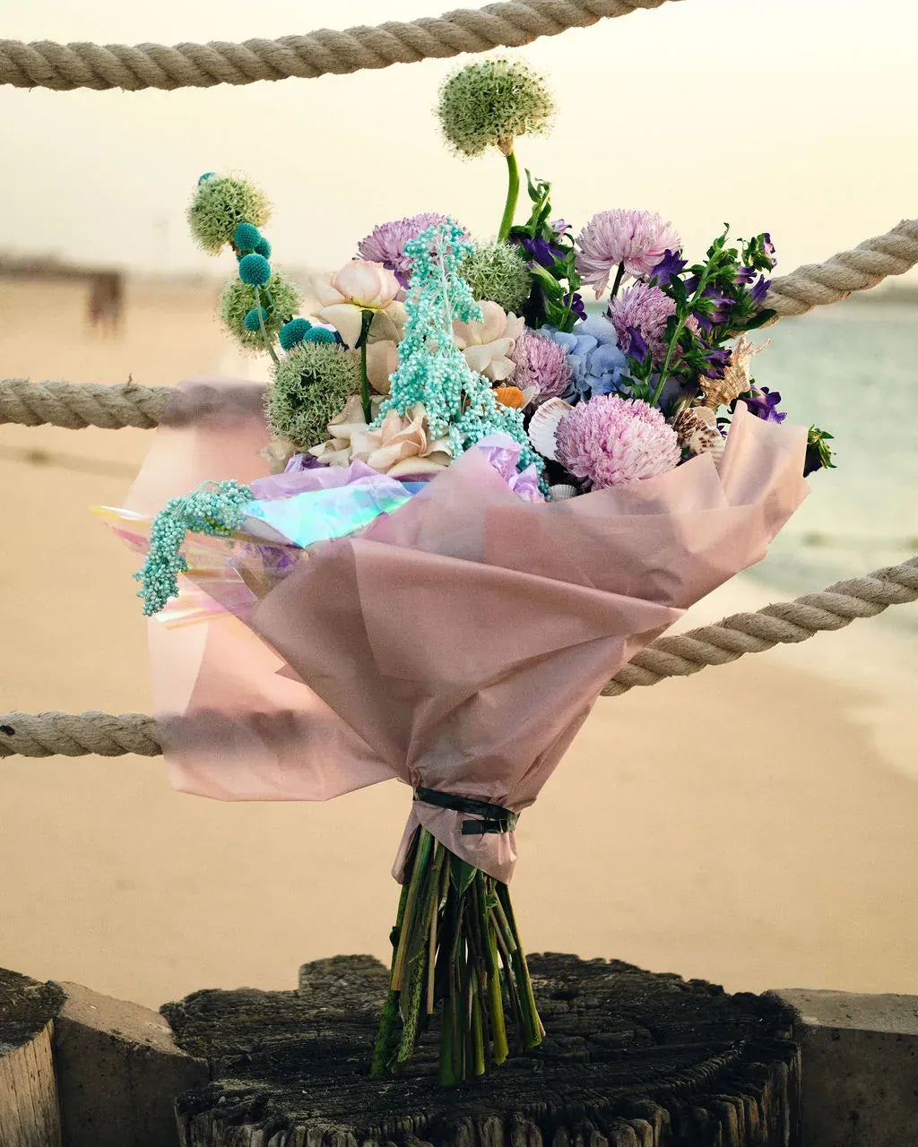 Tidal Treasures