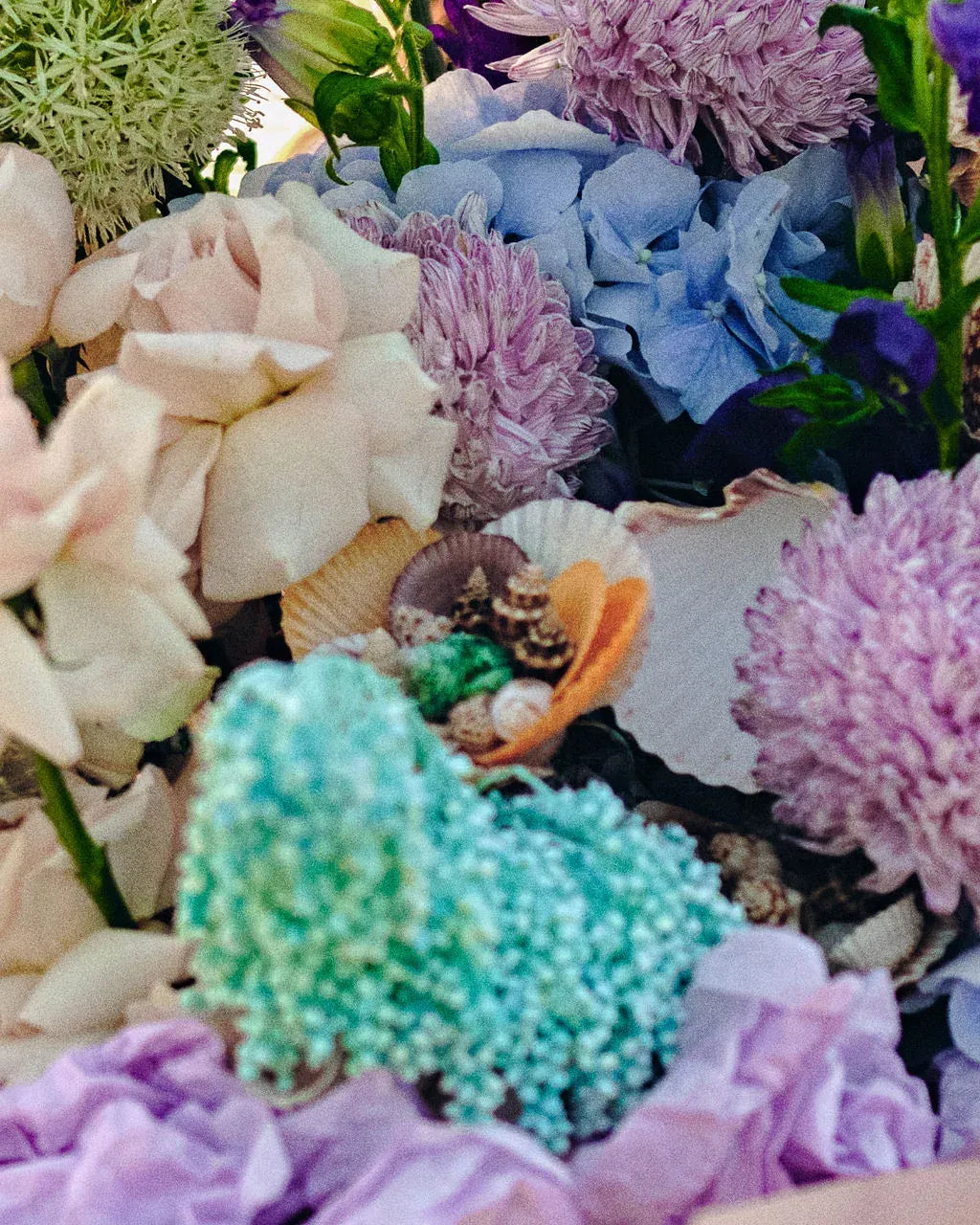 Tidal Treasures