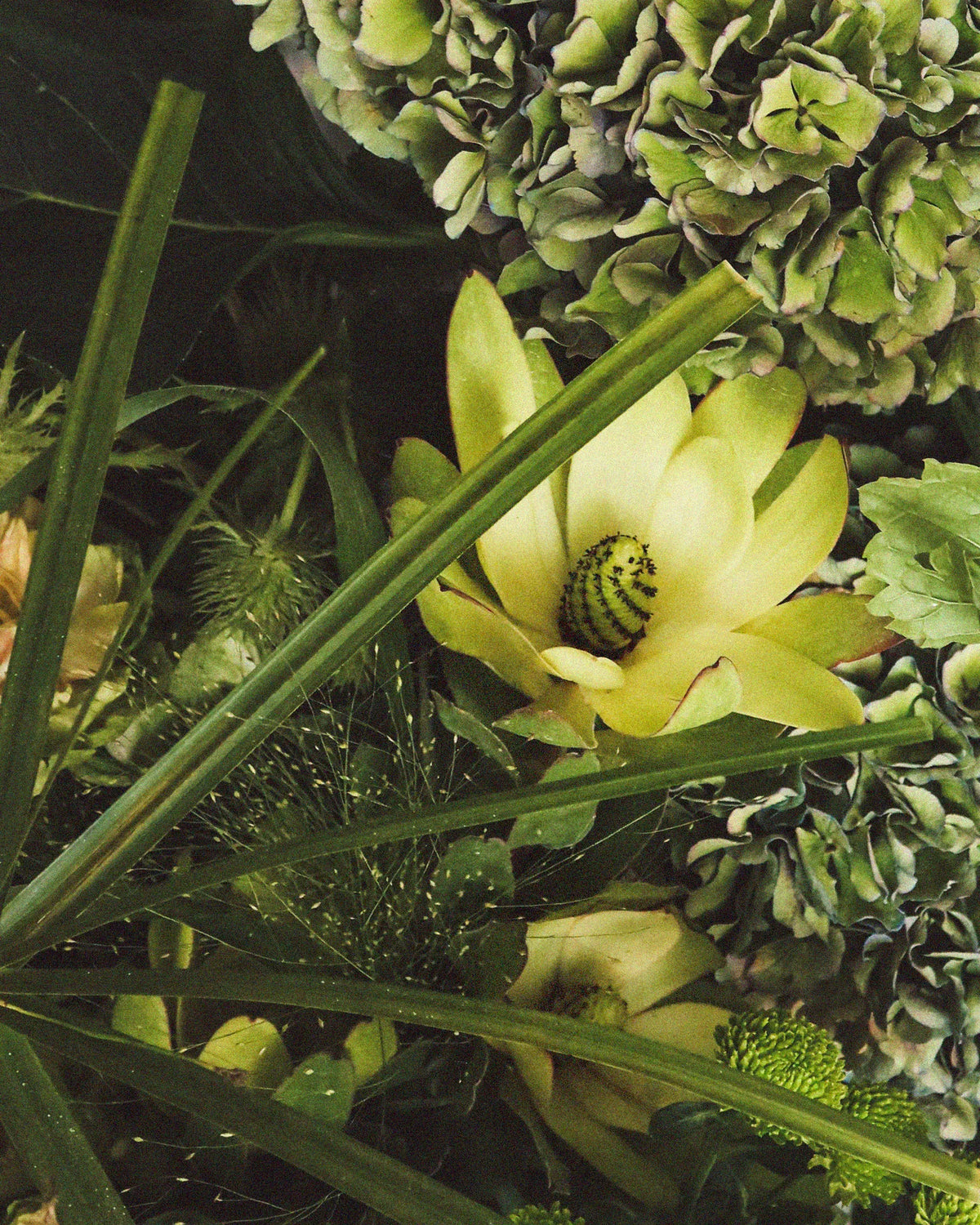Forest Green — carousel 3