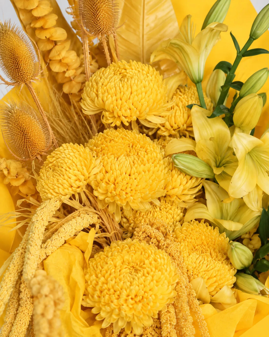 section2